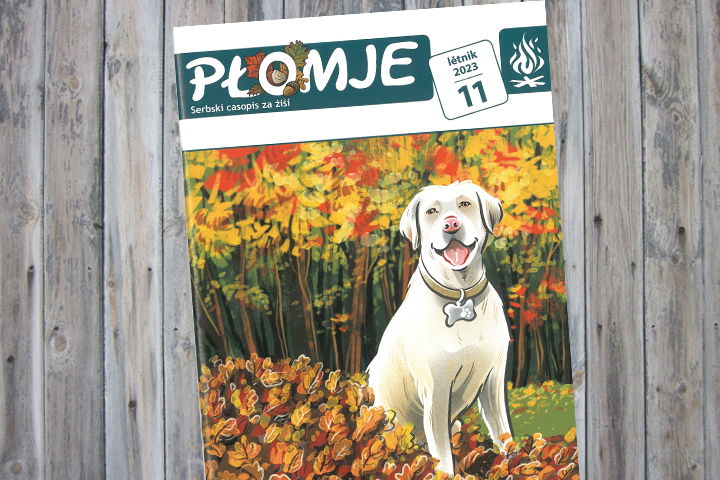 Die Novemberausgabe von Płomje ist erschienen