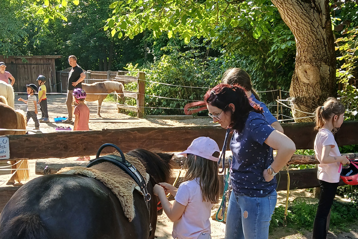 Serbske familije su se zmakali