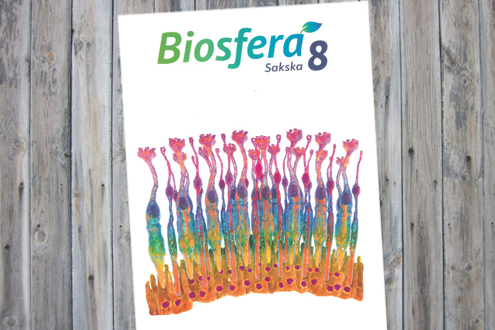 Biosfera 8